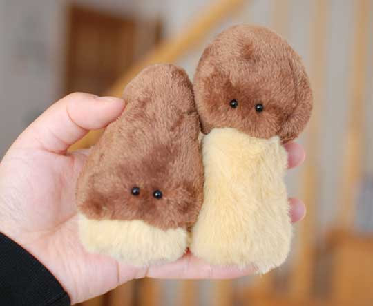 ちょっと変わった「山のぬいぐるみ」がかわいくて癒やされる