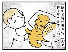 てんすけ君