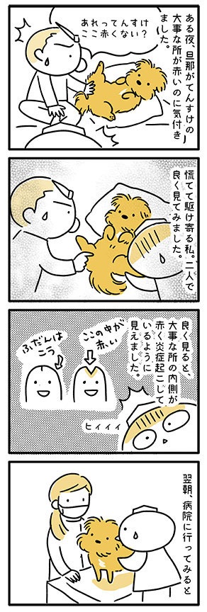 てんすけ君