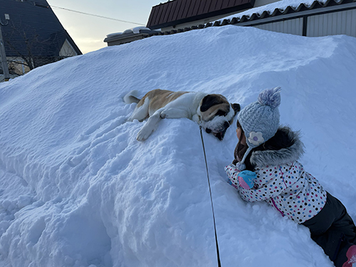 娘ちゃんとダンテくん