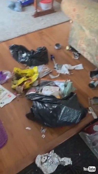 「Smiling Doggy is Proud of Homemade Mess || ViralHog」