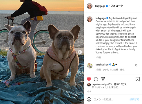 レディー・ガガ 愛犬 散歩 襲撃 強盗 被害 ライアン・フィッシャー