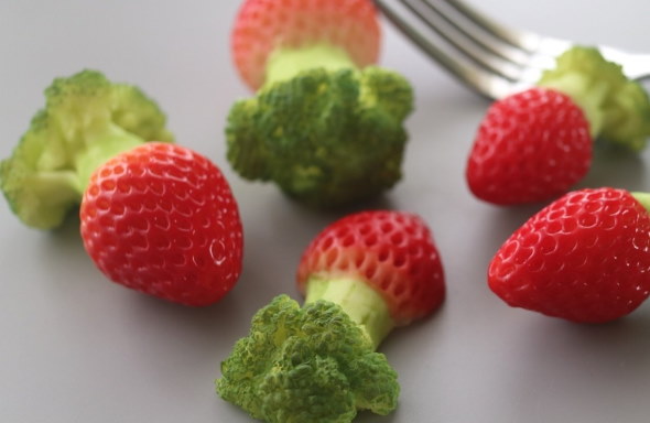 粘土 苺 ブロッコリー ストロッコリー ブロロベリー