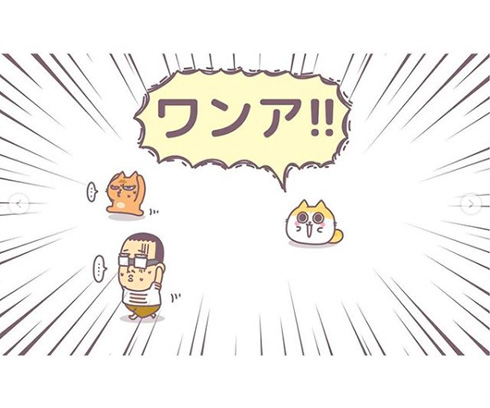 MeowMeowARUPACAさん