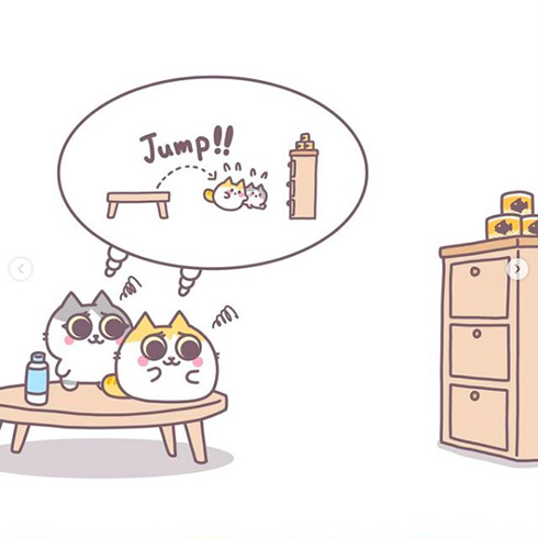 MeowMeowARUPACAさん