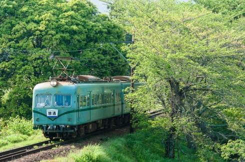 日本旅行 大井川鐵道ツアー