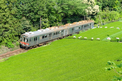 日本旅行 大井川鐵道ツアー