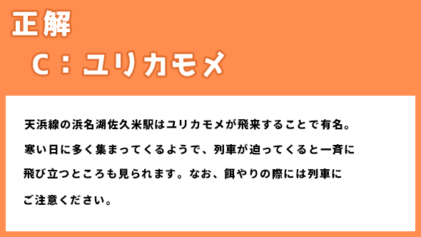 ゆるキャン△スペシャル ゆるキャン△ あｆろ 志摩リン 福原遥 各務原なでしこ 大原優乃 大垣千明 田辺桃子 犬山あおい 箭内夢菜 斉藤恵那 志田彩良