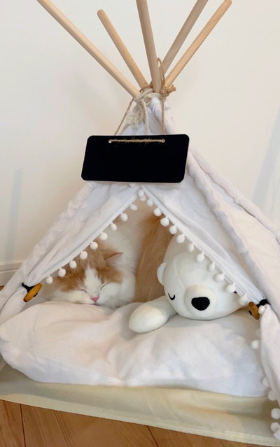 いろんなレモンさん