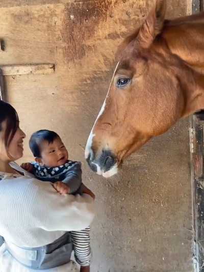 ドイくんと赤ちゃん