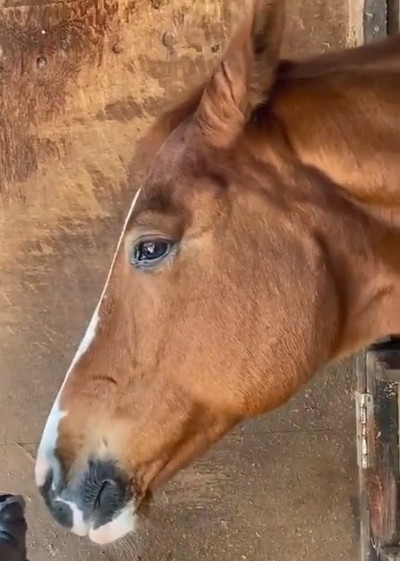 ドイくんと赤ちゃん