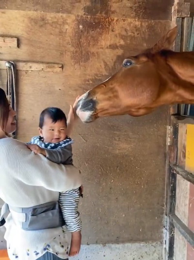 ドイくんと赤ちゃん
