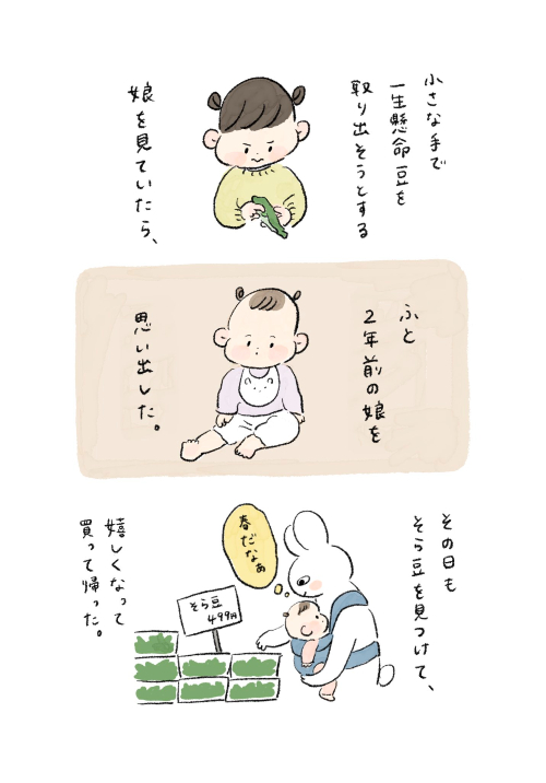 そら豆の思い出