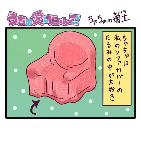 一割にかける飼い主さん