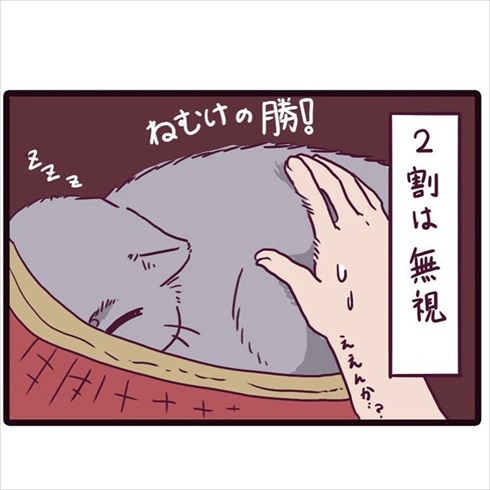 一割にかける飼い主さん