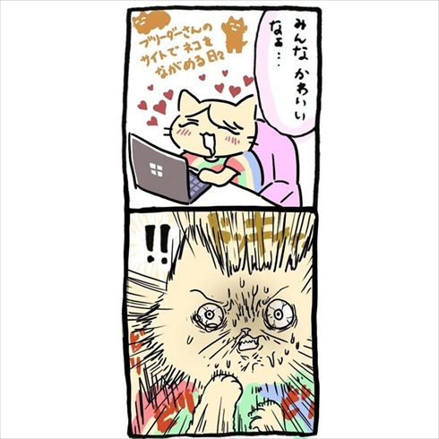 一割にかける飼い主さん