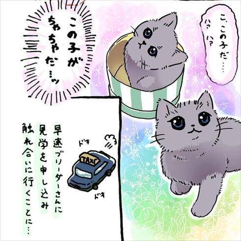 一割にかける飼い主さん