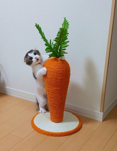 にんじん大好きピノちゃん