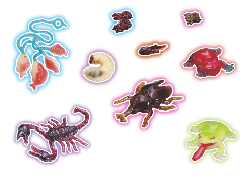 グミップルラボ