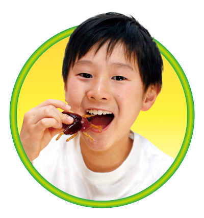 グミップルラボ