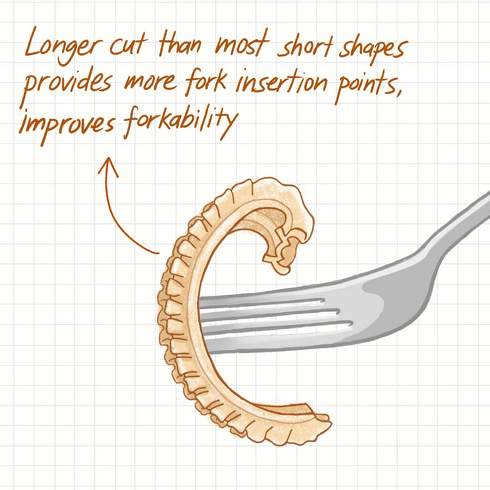 開発期間はおよそ3年　ソースの絡みやすさにこだわった新形状パスタが発明される
