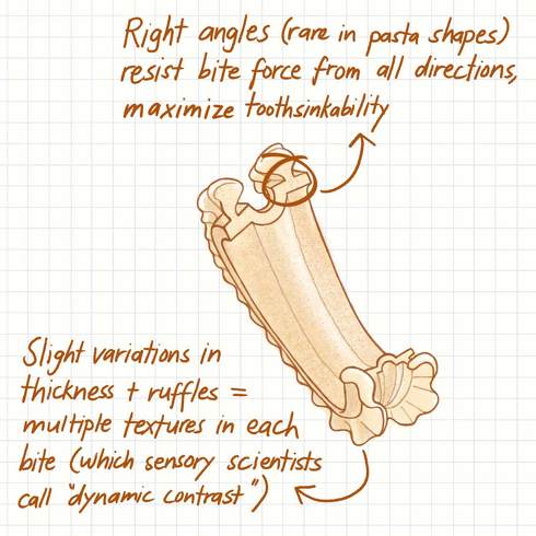 開発期間はおよそ3年　ソースの絡みやすさにこだわった新形状パスタが発明される