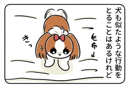 「猫のふみふみ、犬のほりほり」