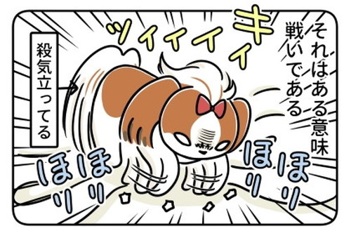 「猫のふみふみ、犬のほりほり」