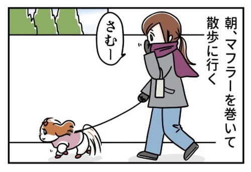 「犬の散歩とマフラーと」