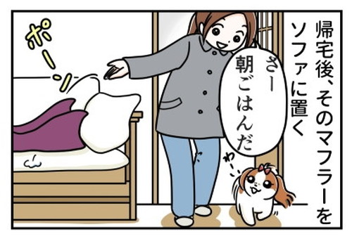「犬の散歩とマフラーと」