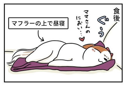 「犬の散歩とマフラーと」