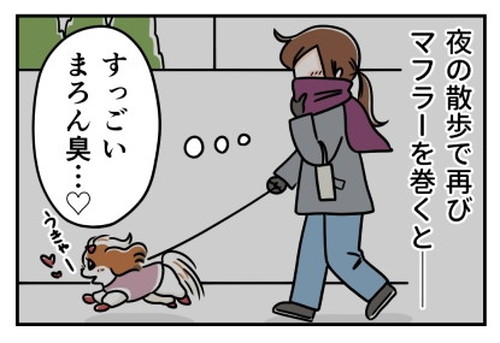 「犬の散歩とマフラーと」