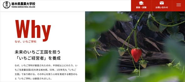 栃木県農業大学校に「いちご学科」が爆誕