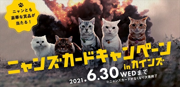 ニャンズカード