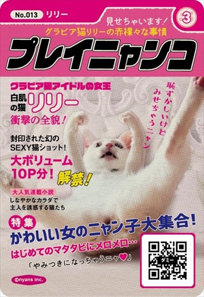 ニャンズカード