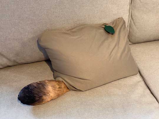 たぬき キツネ クッション 変身 ドロン 尻尾 化ける リバーシブル フェリシモ