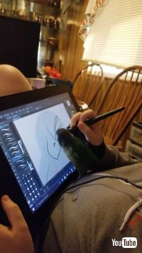 Tries to Gain Owner's Attention