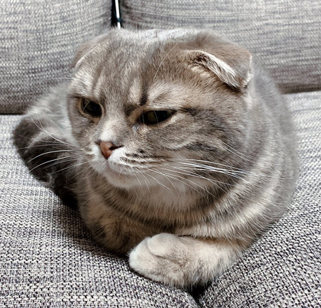 気づいたきむちくんアップ