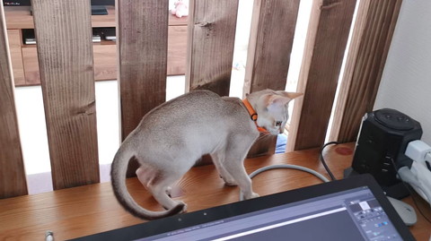 柵を抜けるルルちゃん