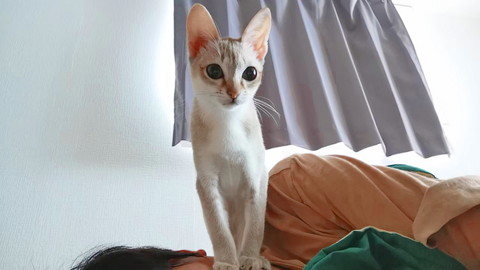 いろんなルルちゃん