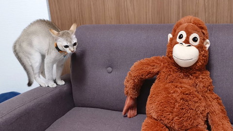 いろんなルルちゃん