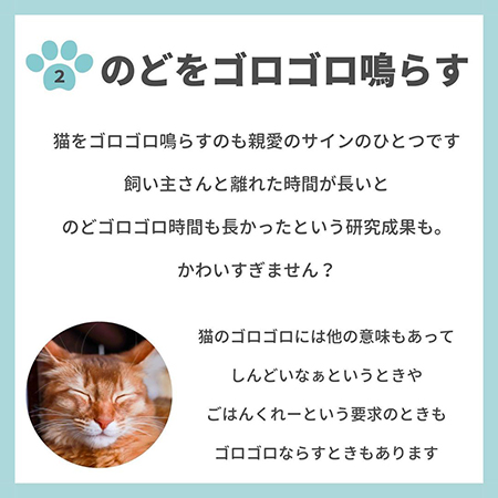 猫の親愛のサイン8つ-.3