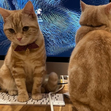 残業禁止令を出すもらぺこちゃん