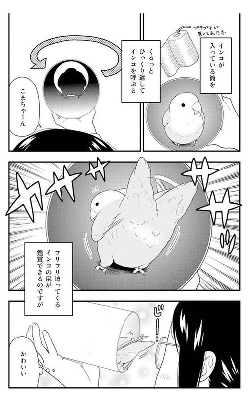 筒の中のこまちゃん