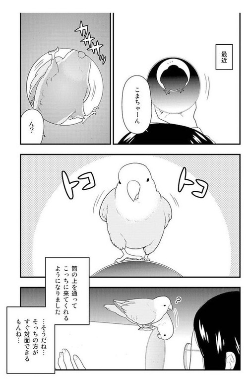 筒の中のこまちゃん