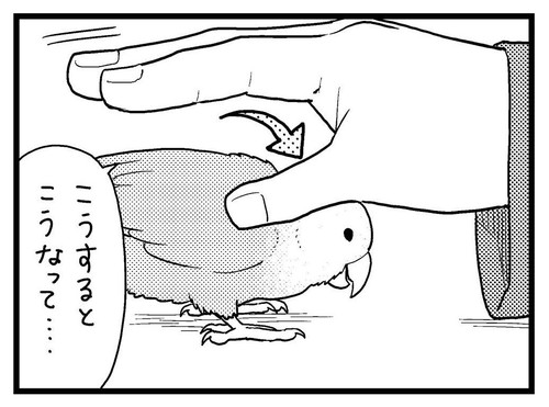 袖に入るこまちゃん