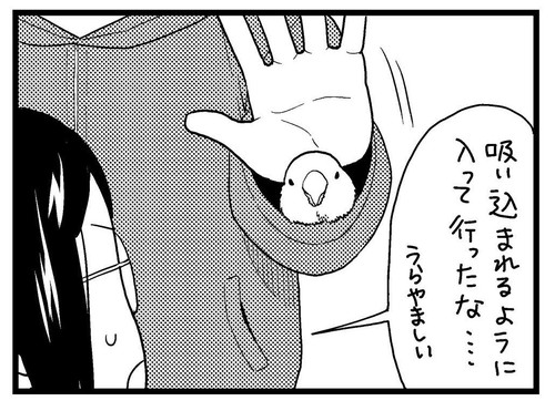 袖に入るこまちゃん