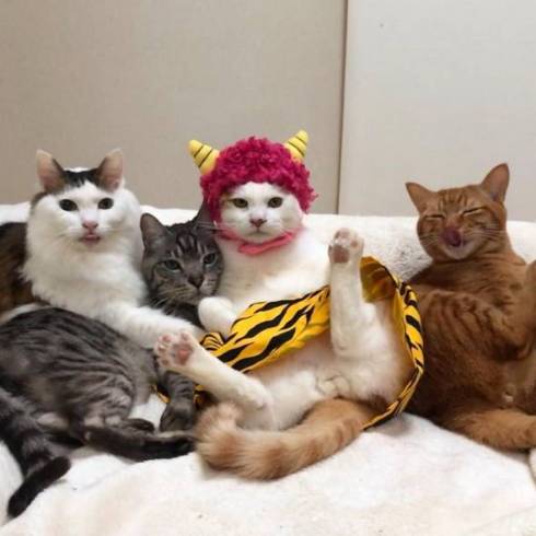 猫 かぶりもの イースター