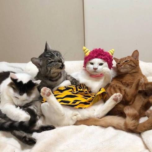 猫 かぶりもの イースター