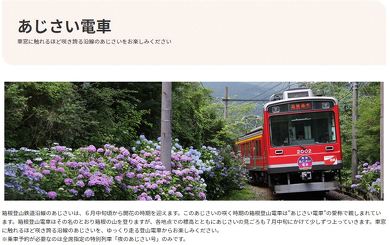 箱根登山鉄道 あじさい電車
